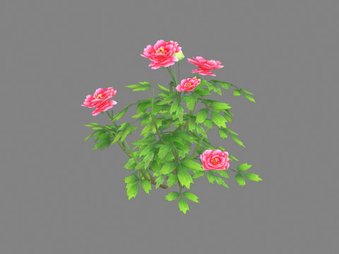 A rose plant Low-poly Modello 3D