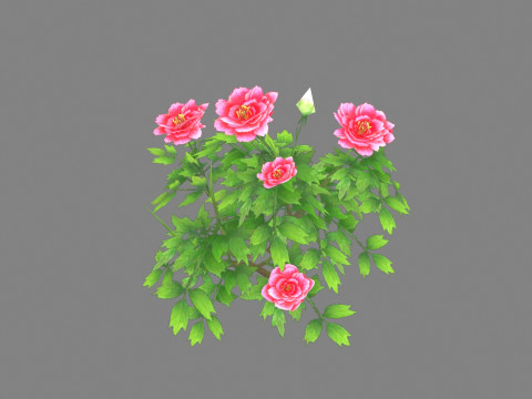 A rose plant Low-poly Modello 3D