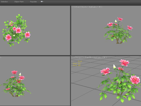 A rose plant Low-poly Modello 3D