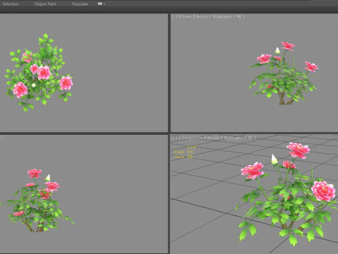 A rose plant Low-poly 3D Model