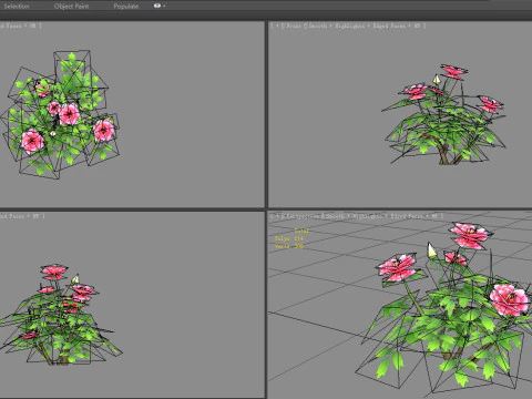 A rose plant Low-poly 3D Model