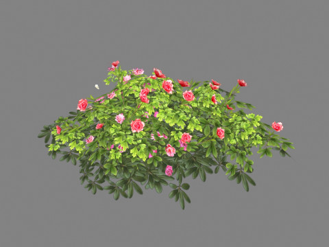 Cartoon rose bushes Low-poly 3D 모델