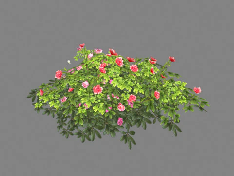 Kartun semak mawar Poli rendah Model 3D