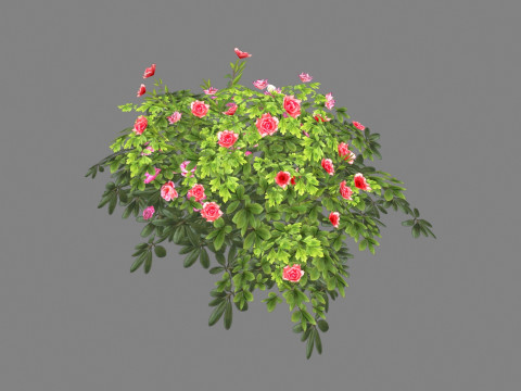 Cartoon rose bushes Low-poly 3D Model