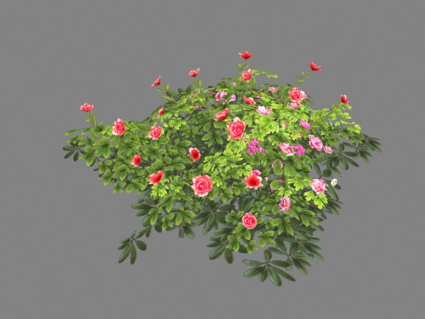 Cartoon rose bushes Low-poly 3D Model