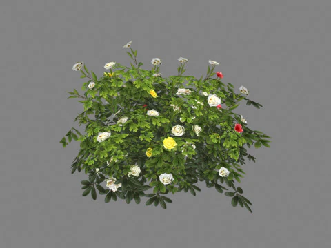 Cartoon white rose bushes Low-poly 3D Model