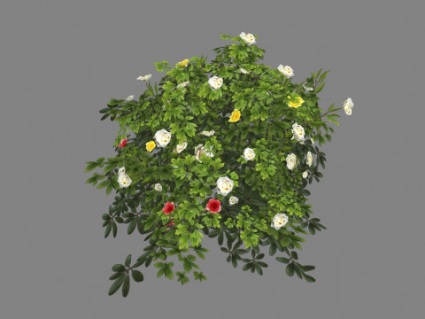 Cartoon white rose bushes Low-poly 3D Model