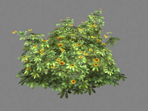 Cartoon Daisy bushes - Yellow flowers Low-poly 3D Model