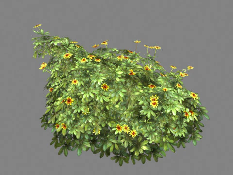 Cartoon Daisy bushes - Yellow flowers Low-poly 3D Model