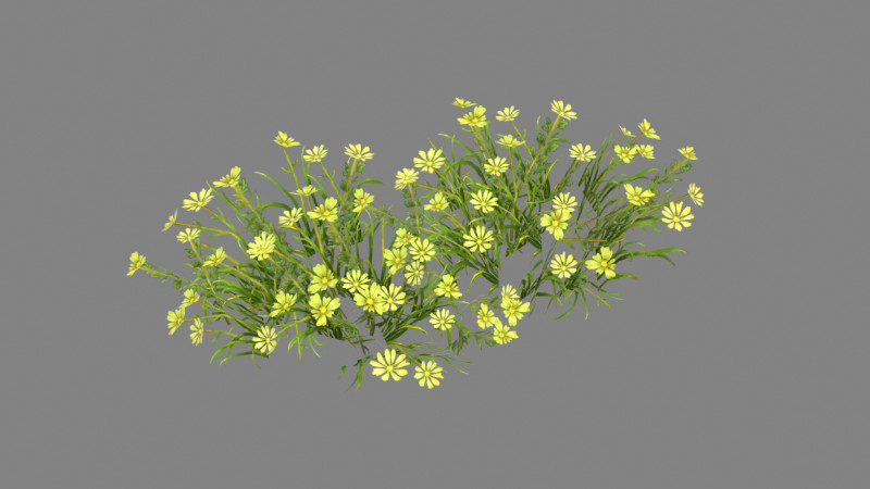 Cartoon yellow flowers bushes Low-poly Model 3D .c4d .max .obj .3ds .fbx .stl .blend 