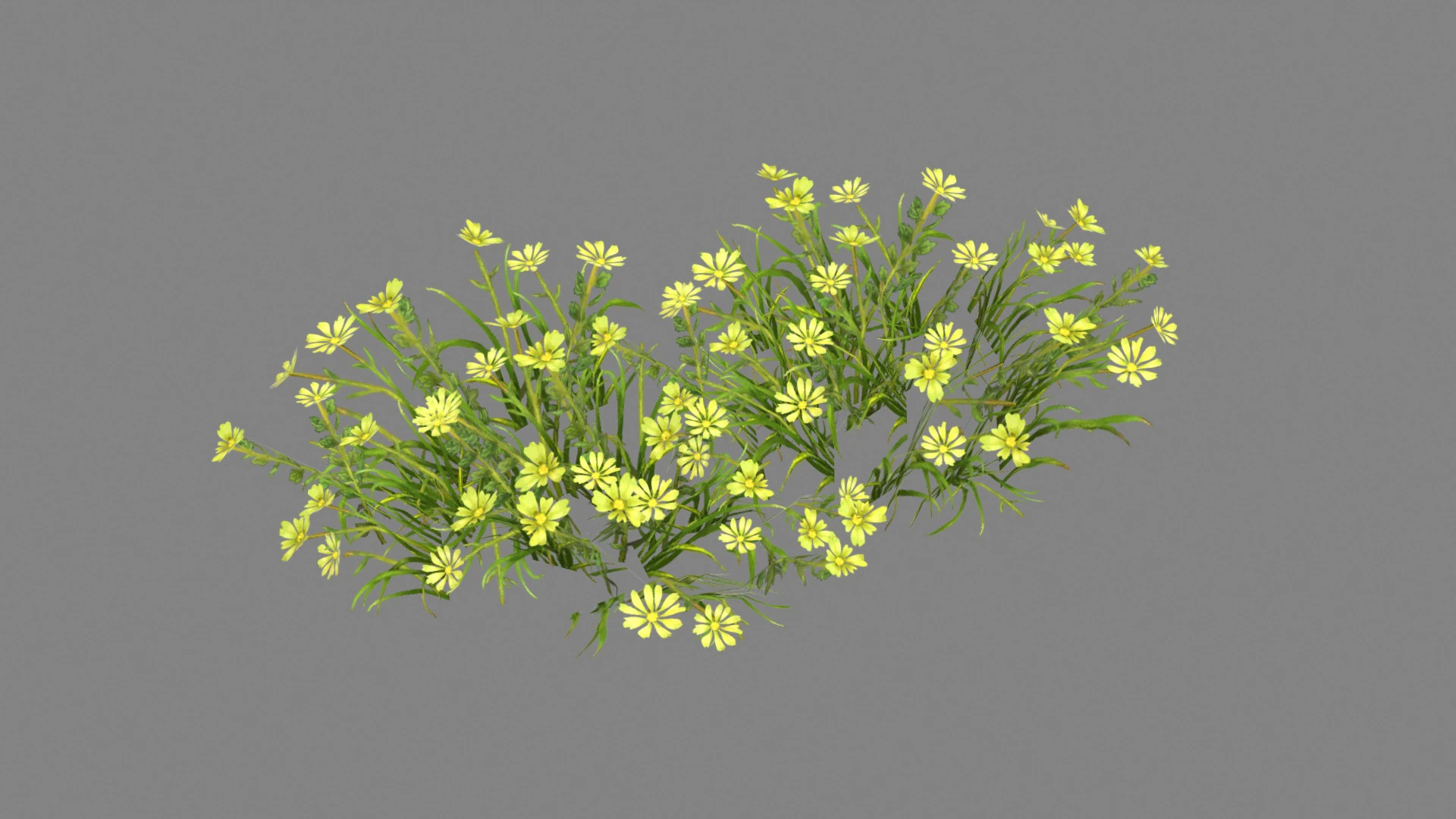 Cartoon yellow flowers bushes Low-poly 3D Model .c4d .max .obj .3ds .fbx .stl .blend 