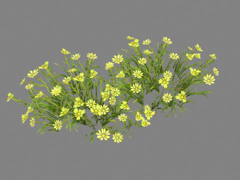 Cartoon yellow flowers bushes Low-poly 3D Model