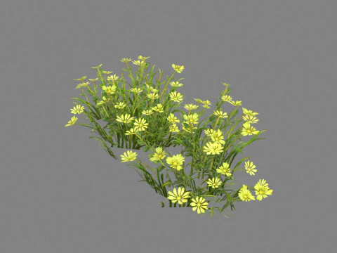 Cartoon yellow flowers bushes Low-poly 3D Model