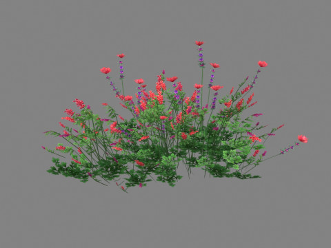 Cartoon lavender bushes - purple flowers Low-poly 3D Model