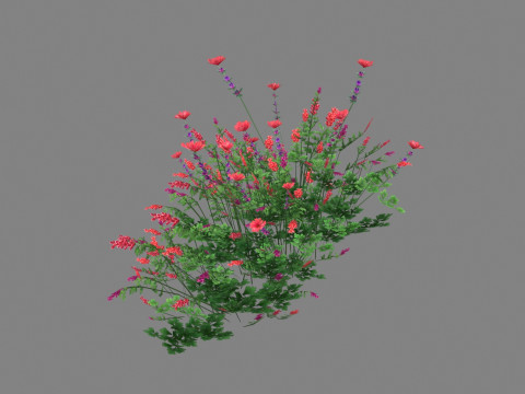 Cartoon lavender bushes - purple flowers Low-poly 3D Model