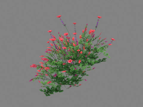 Cartoon lavender bushes - purple flowers Low-poly 3D Model