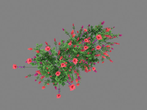 Cartoon lavender bushes - purple flowers Low-poly 3D Model