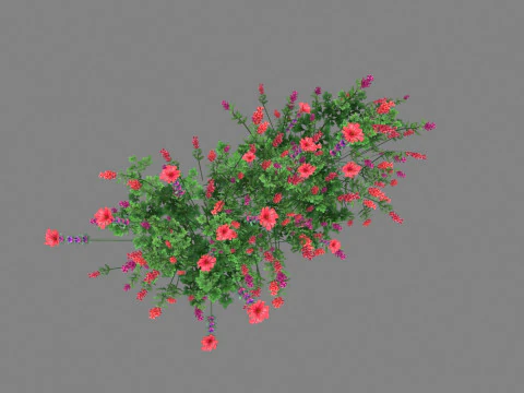 Cartoon lavender bushes - purple flowers Low-poly 3D Model