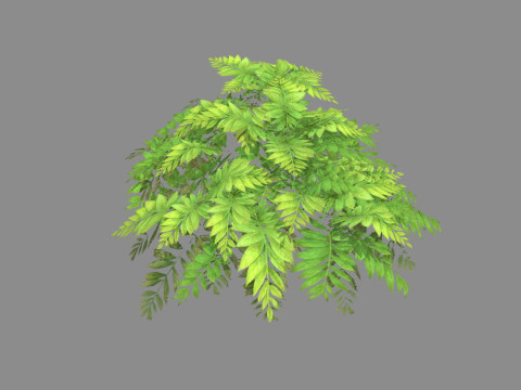 Cartoon grass bushes Low-poly Modèle 3D