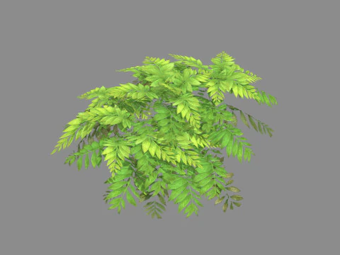 Cartoon grass bushes Low-poly 3D Model