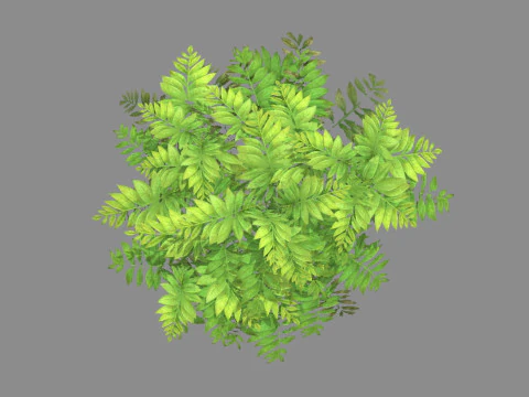 Cartoon grass bushes Low-poly 3D Model
