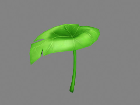 A taro leaf - Cartoon leaf 3D Model