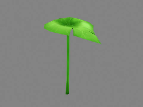 A taro leaf - Cartoon leaf 3D Model