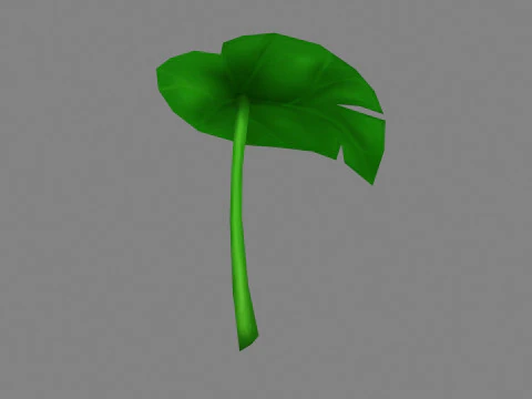 A taro leaf - Cartoon leaf 3D Model