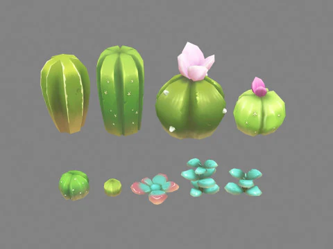 Kaktusy i sukulenty - rośliny pustynne z kreskówek Model 3D