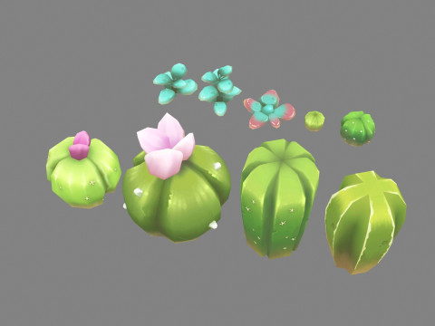 Cacti and succulents - Cartoon desert plants Model 3D