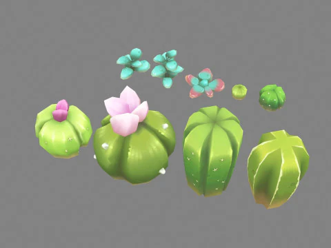Cacti and succulents - Cartoon desert plants 3D Model