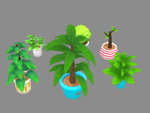 Potted plants - A Modello 3D