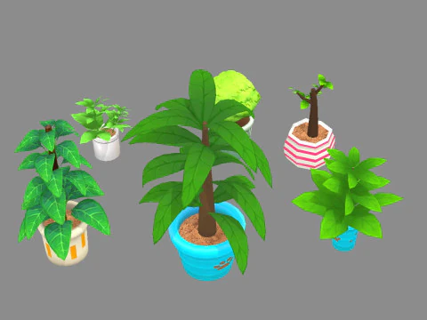 Potted plants - A 3D Model