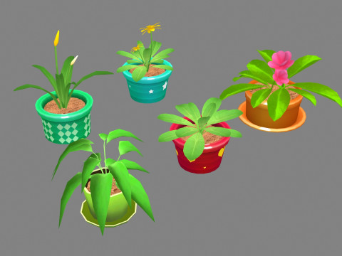 Potted plants - B 3D Modell