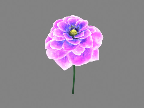A purple flower 3D Model
