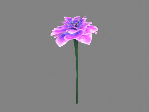 A purple flower 3D मॉडल