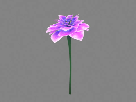 A purple flower 3D Model