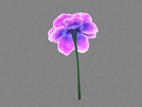 A purple flower 3D Model