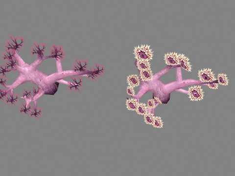 Cartoon coral 3D Model