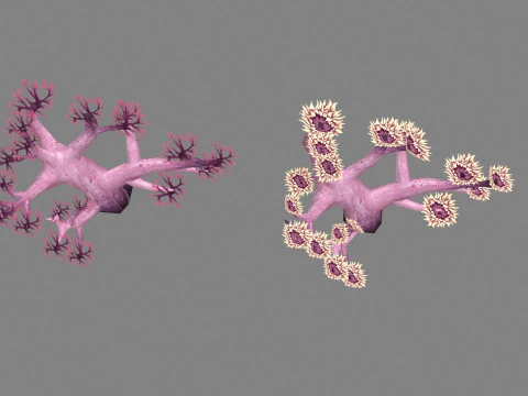 Cartoon coral 3D Model