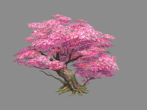 A peach blossom tree - big - Cherry blossom trees - sakura 3D Model