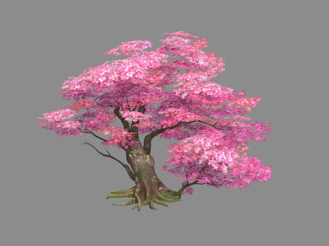 A peach blossom tree - big - Cherry blossom trees - sakura 3D Model
