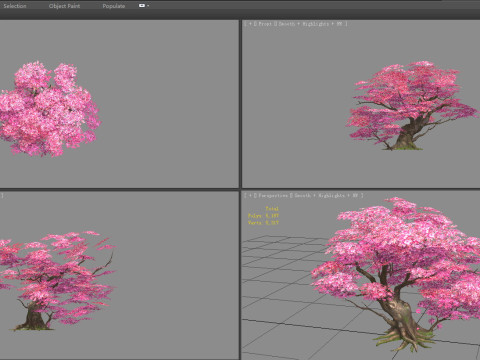 A peach blossom tree - big - Cherry blossom trees - sakura 3D 模型