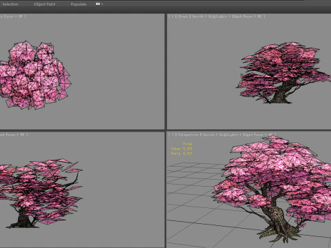 A peach blossom tree - big - Cherry blossom trees - sakura 3D Model