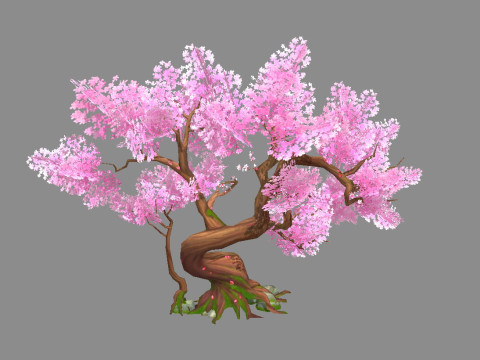 A peach blossom tree - small - Cherry blossom trees - sakura Model 3D