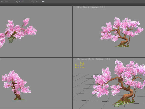 A peach blossom tree - small - Cherry blossom trees - sakura Model 3D