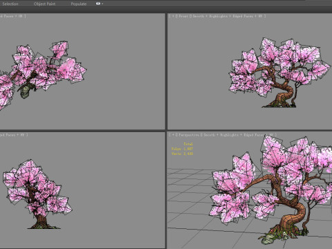 A peach blossom tree - small - Cherry blossom trees - sakura Model 3D