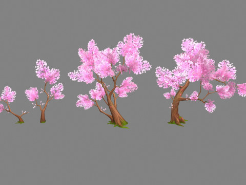 Four peach blossom trees - cherry blossom trees - sakura 3D Model