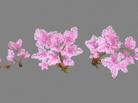 Four peach blossom trees - cherry blossom trees - sakura 3D Модель