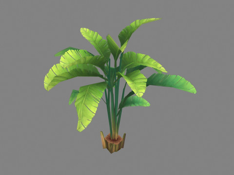 Cartoon palm tree 3D मॉडल